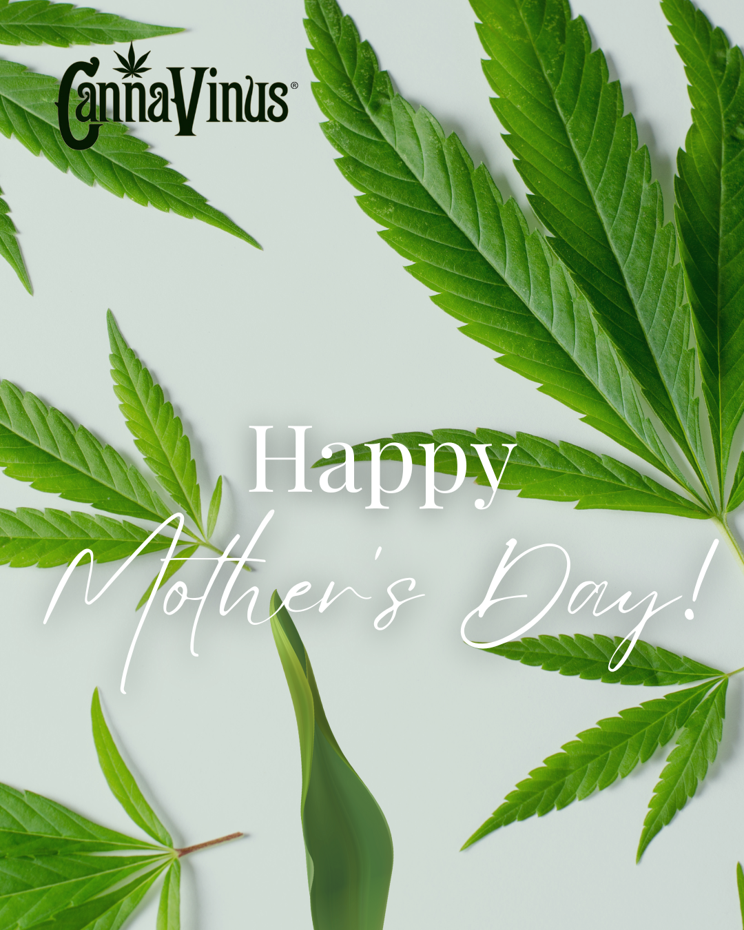 Celebrate Mother's Day with CannaVinus® 0% ABV