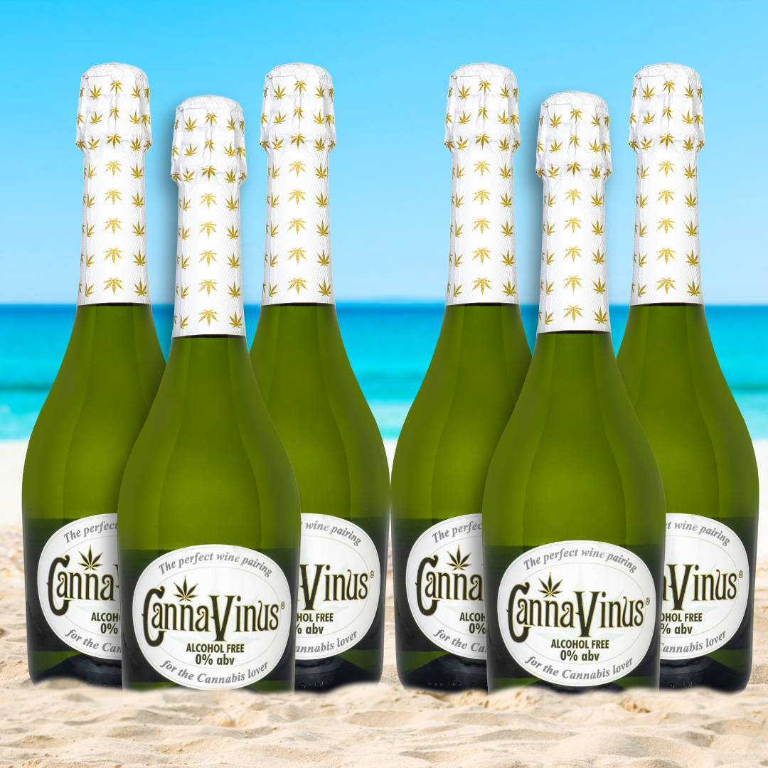 6 750ml bottles of CannaVinus on the beach with water in the background